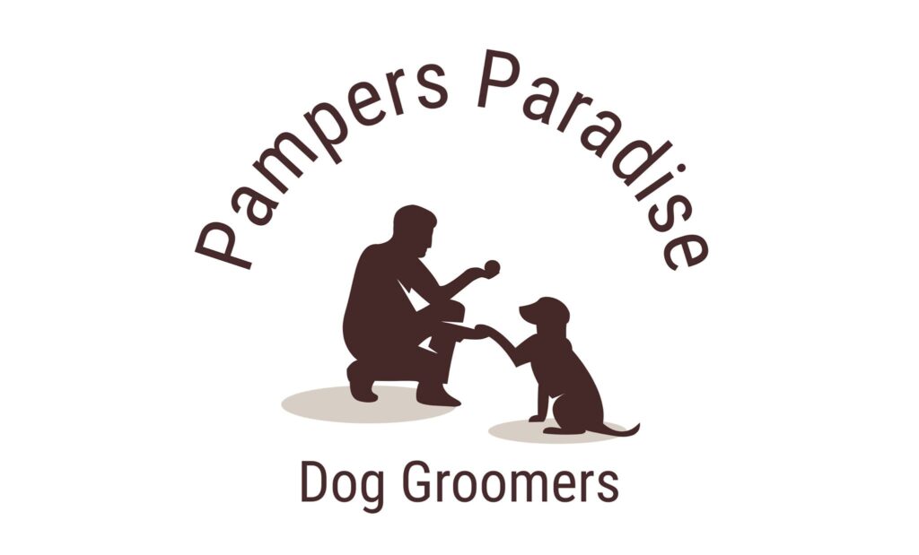 301912102 496772332453736 1460110650610457631 n