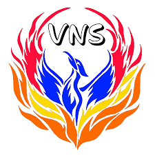 vns