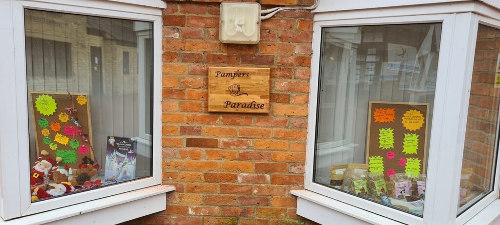 126871711 381831283240464 642972472878685095 n